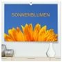 Produktbild: DIN A2 Premium