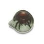 Produktbild: Spinne