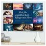 Produktbild: DIN A2 Premium