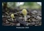 Produktbild: Kalender