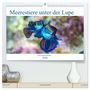 Produktbild: DIN A2 Premium