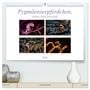 Produktbild: DIN A2 Premium