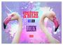 Produktbild: DIN A3