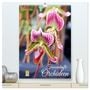 Produktbild: DIN A2 Premium