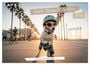 Produktbild: DIN A5