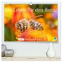 Produktbild: DIN A2 Premium