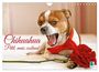 Produktbild: DIN A4