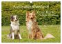 Produktbild: DIN A3