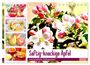 Produktbild: DIN A5