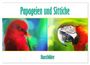 Produktbild: DIN A2