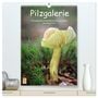 Produktbild: DIN A2 Premium