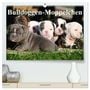Produktbild: DIN A2 Premium