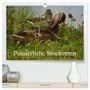 Produktbild: DIN A2 Premium