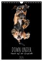 Produktbild: DIN A4