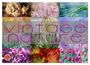 Produktbild: DIN A2