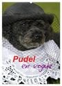 Produktbild: DIN A2