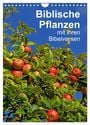 Produktbild: DIN A4