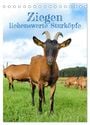 Produktbild: DIN A5
