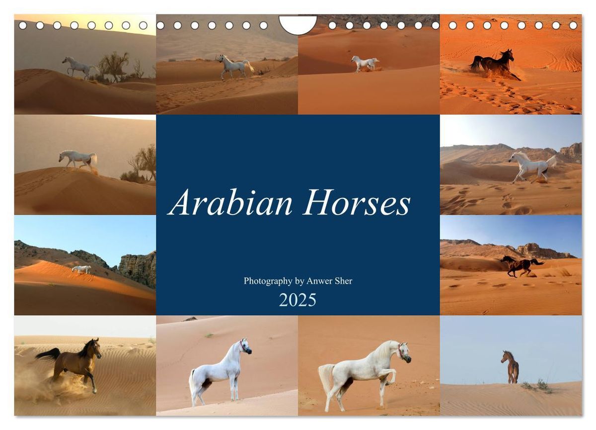 'Arabian Horses (Wall Calendar 2025 DIN A4 landscape), CALVENDO 12 ...