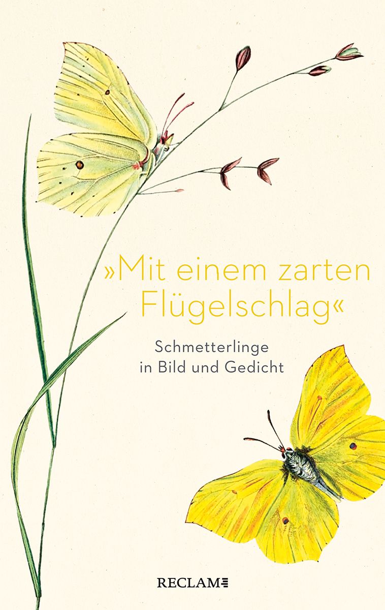 Mit einem zarten Flügelschlag« von  - Buch - 978-3-15-011407-0
