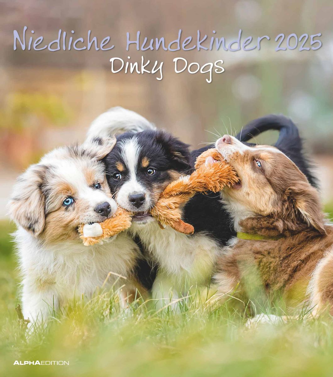 Niedliche Hundekinder 2025 WandKalender TierKalender 30x34