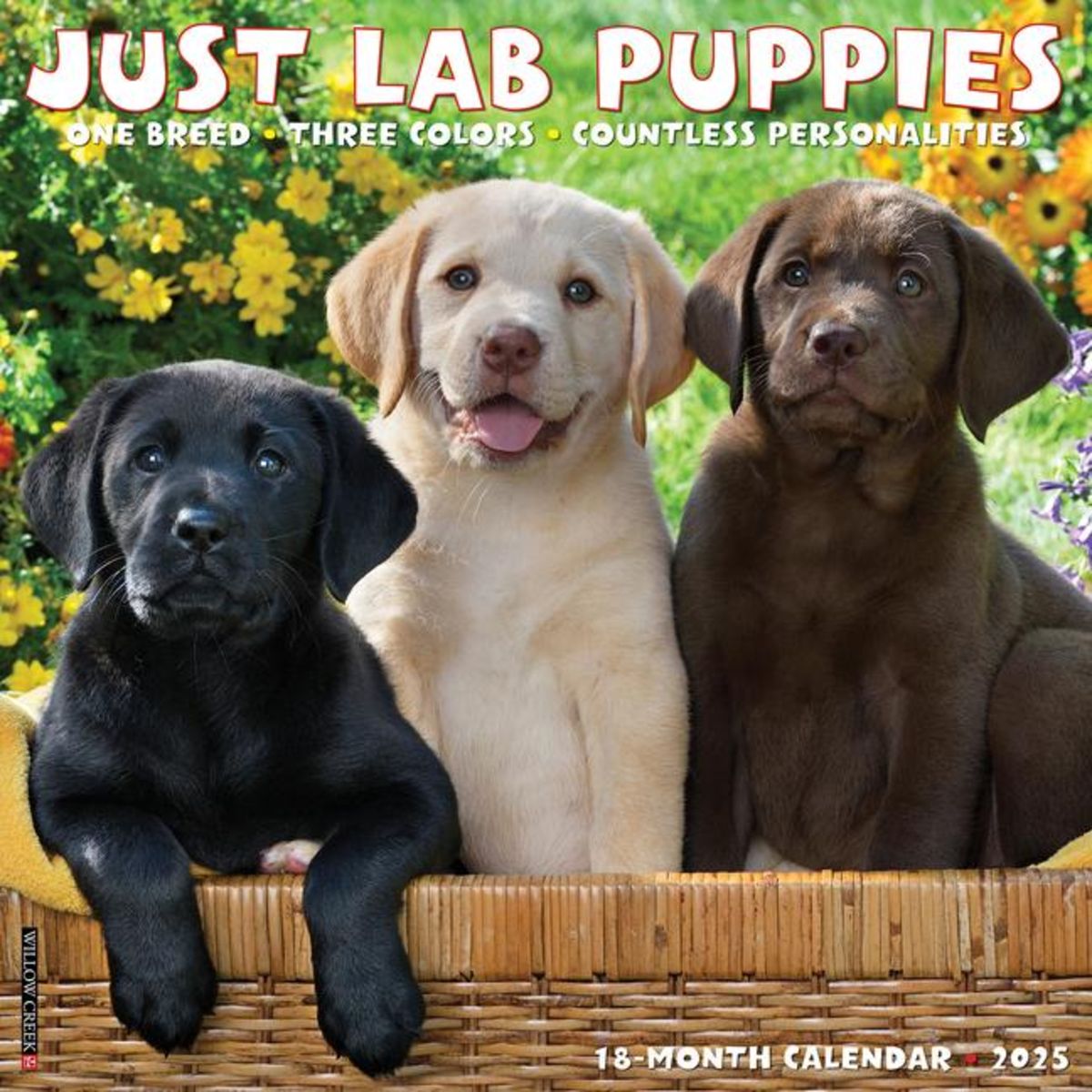 'Just Lab Puppies 2025 12 X 12 Wall Calendar' 'Tierkalender'