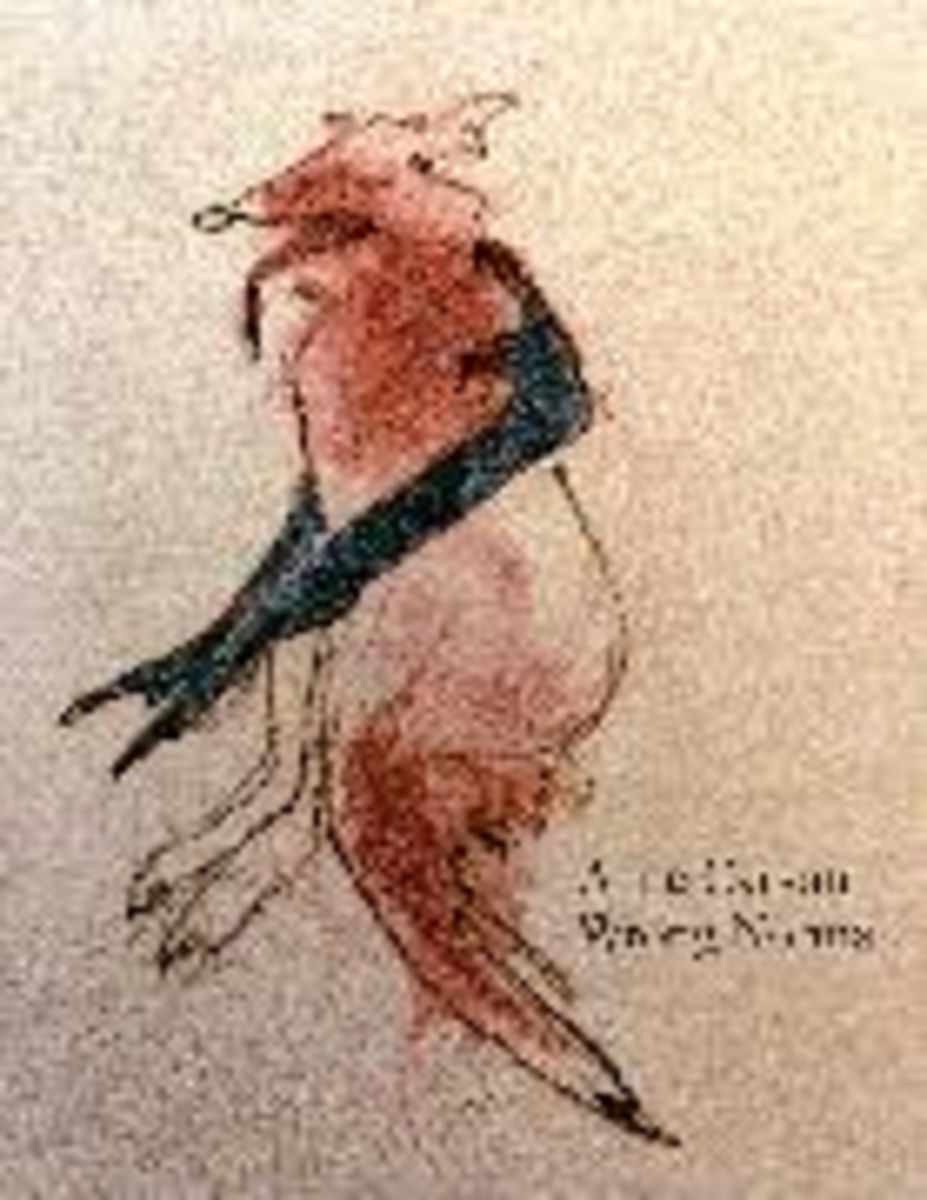'Wrong Norma' von 'Anne Carson' 'Taschenbuch' '9781787332355'