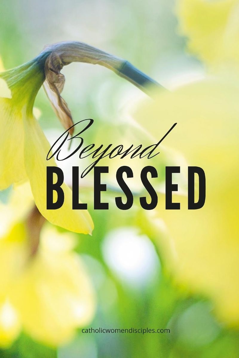 'Beyond Blessed' - 'Nach Schulform' Schulbuch - '978-1-304-13892-7'