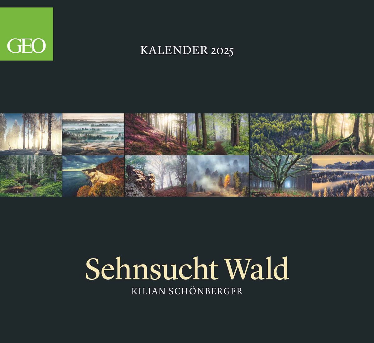 'GEO Kalender: Sehnsucht Wald 2025 - Wand-Kalender - Natur-Kalender - 60x55' - 'Landschaft & Natur'