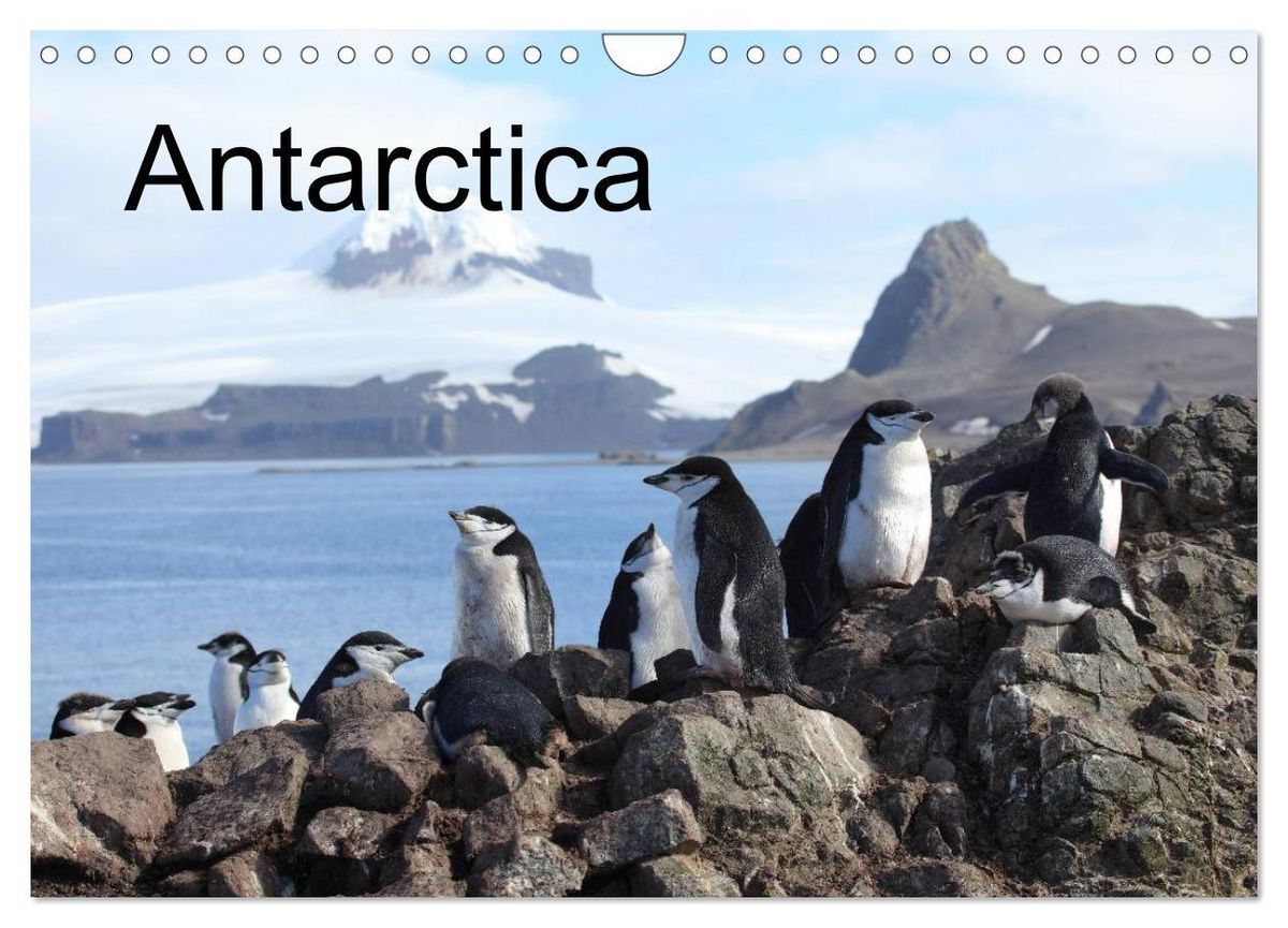 'Antarctica (UK Version) (Wall Calendar 2024 DIN A4 landscape