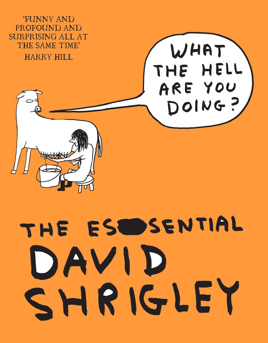 what-the-hell-are-you-doing-the-essential-david-shrigley-von-david