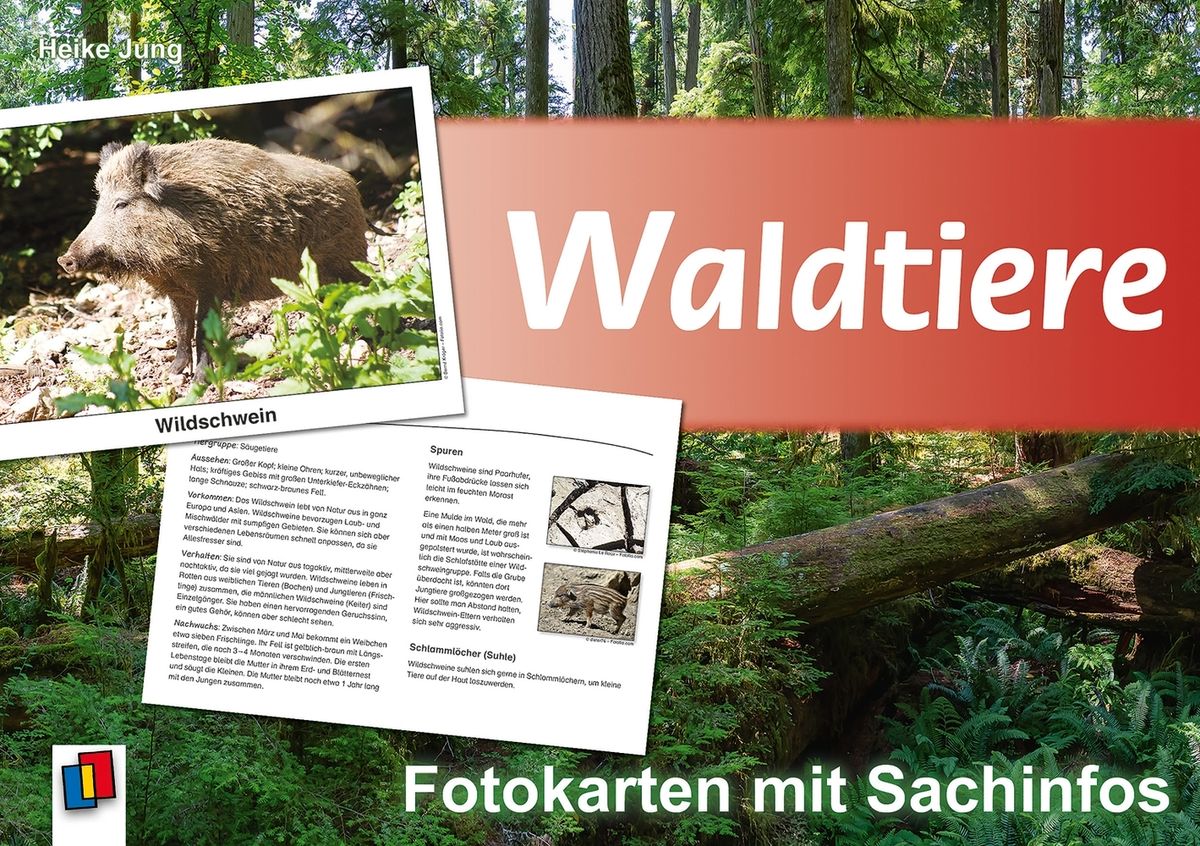 Waldtiere - Fotokarten mit Sachinfos - Grundschule Schulbuch - 978-3