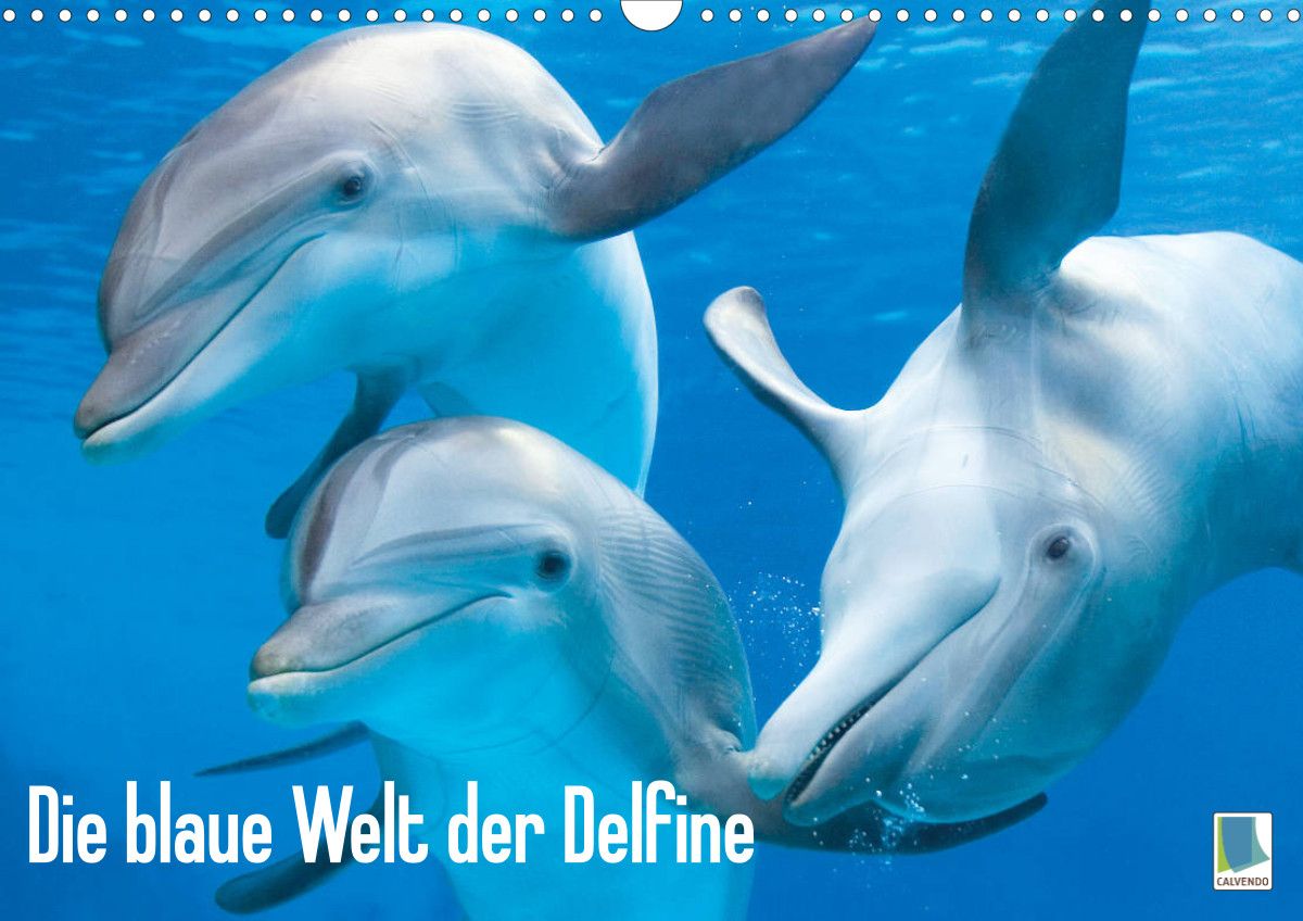 Tauche ein in die Welt der Delfine: Dein Delfinkostüm selber machen!