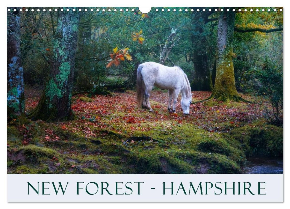 'New Forest Hampshire (Wall Calendar 2025 DIN A3 landscape), CALVENDO