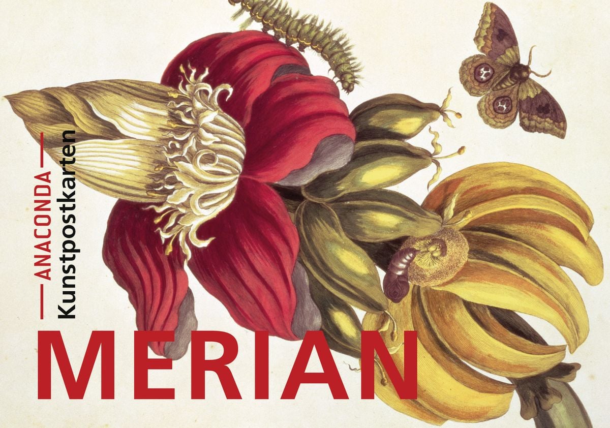 Cover: Postkarten-Set Maria Sibylla Merian