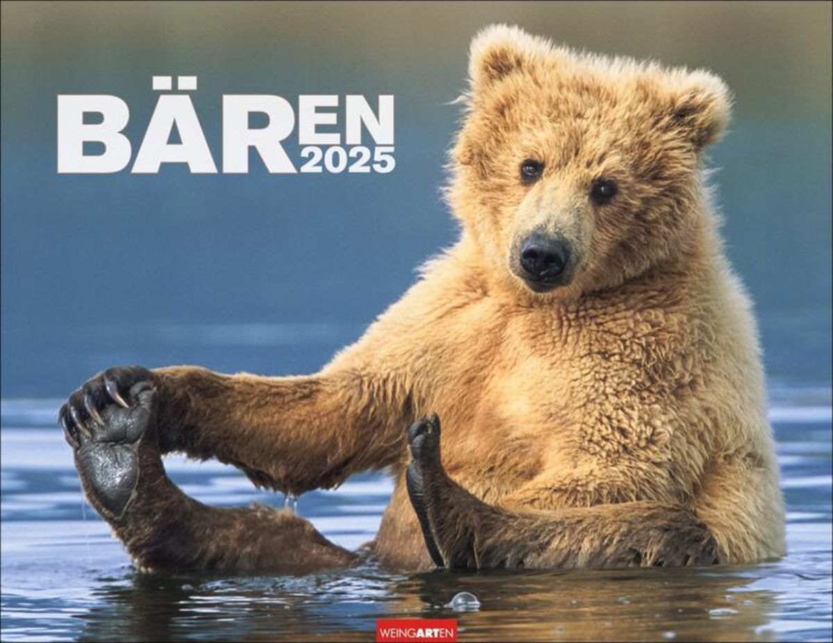 Bären Kalender 2025 Eisbären & Pinguine Thalia