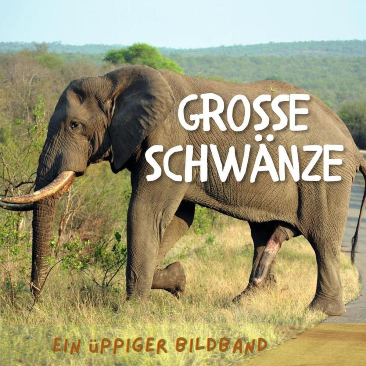 Grosse Schwänze Von Tim Fröhlich Buch 978 3 7505 0951 1 5123