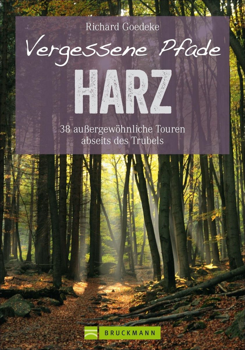 'Vergessene Pfade Harz' Von 'Richard Goedeke' - Buch - '978-3-7654-6819-3'