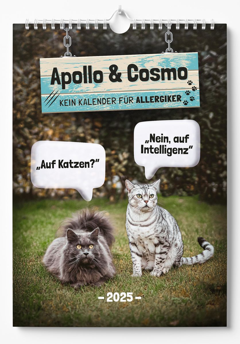 Apollo & Cosmo Kein Kalender für Allergiker Kunst & Kultur Thalia