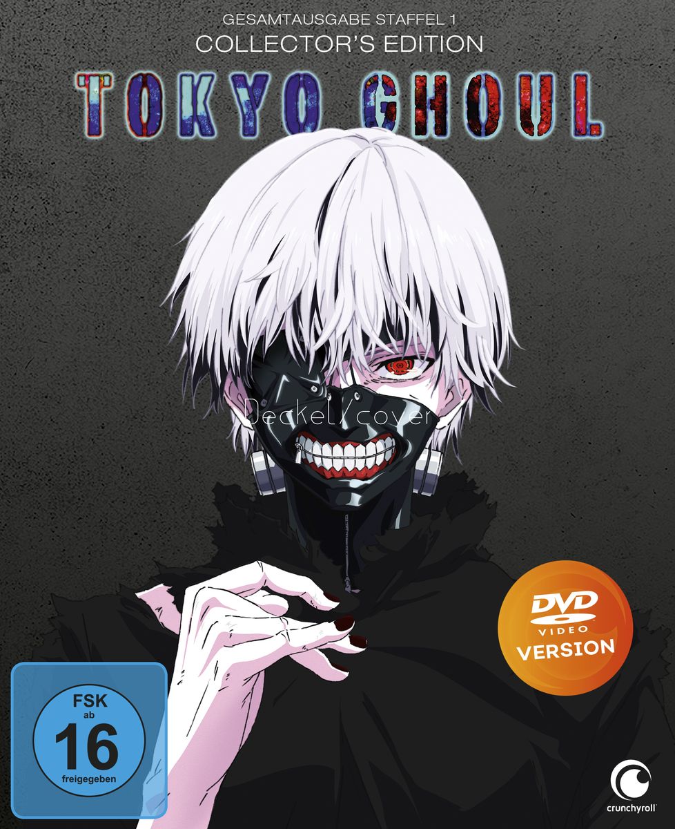 'Tokyo Ghoul - Gesamtausgabe - Limited Edition mit Sammelbox [2 DVDs - Tokyo Ghoul Season 3 Dvd English Dub
