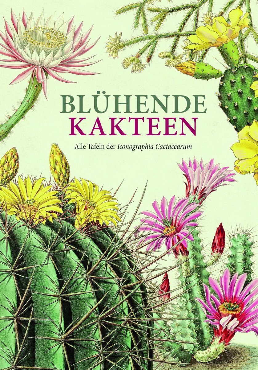 'Blühende Kakteen' von '' Buch '9783968490519'