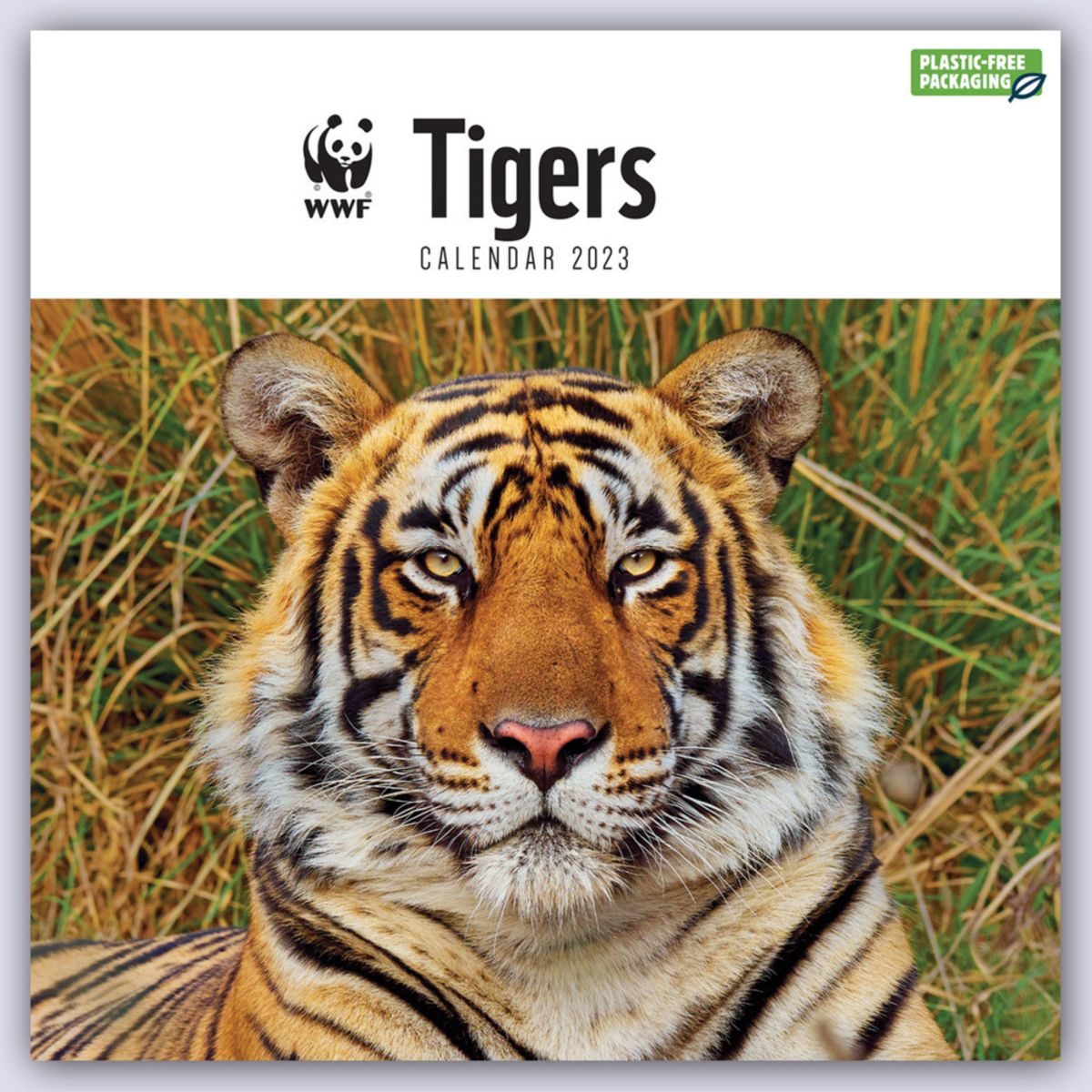 WWF Tigers – Tiger 2023 - Wandkalender | Thalia