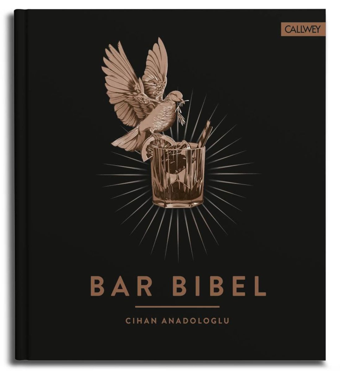 Bar Bibel von Cihan Anadologlu. Bücher Orell Füssli