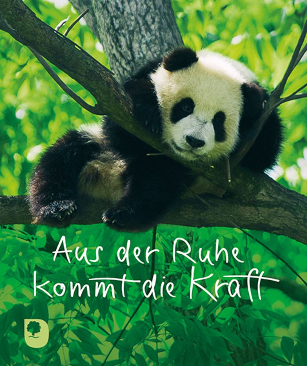 'Aus der Ruhe kommt die Kraft' von '' - Buch - '978-3-86917-708-3'