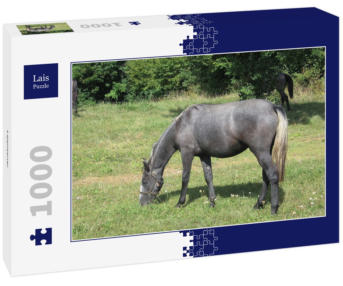 Lais Puzzle 1000 Teile – Pferdemotiv Clydesdale Horse Von Olga Itina