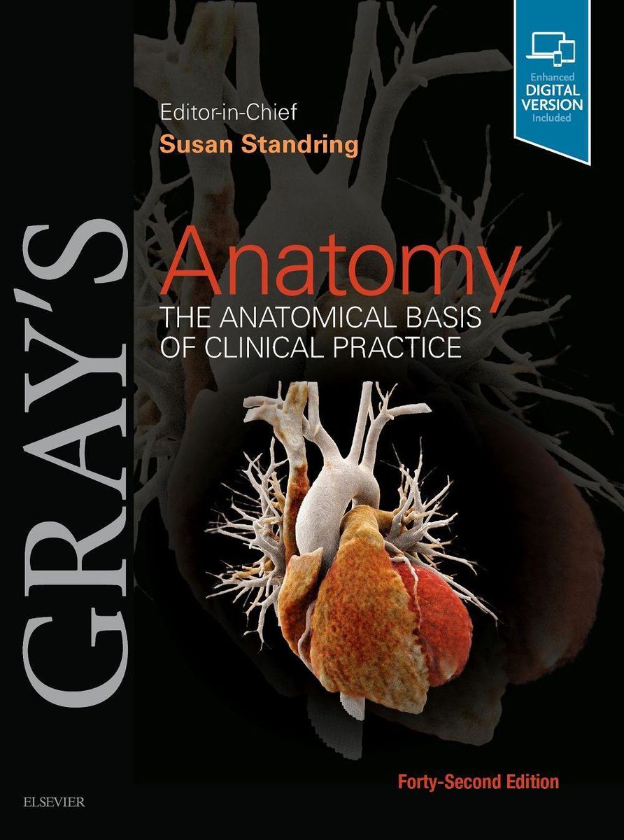 gray-s-anatomy-von-gebundene-ausgabe-978-0-7020-7705-0