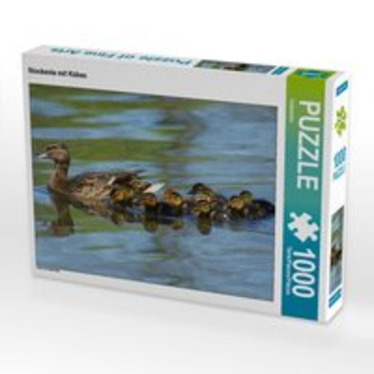 CALVENDO Puzzle „Wellensittich-Küken“ – 1000 Teile, 64 X 48 Cm, Foto-Puzzle Von Björn Bergmann