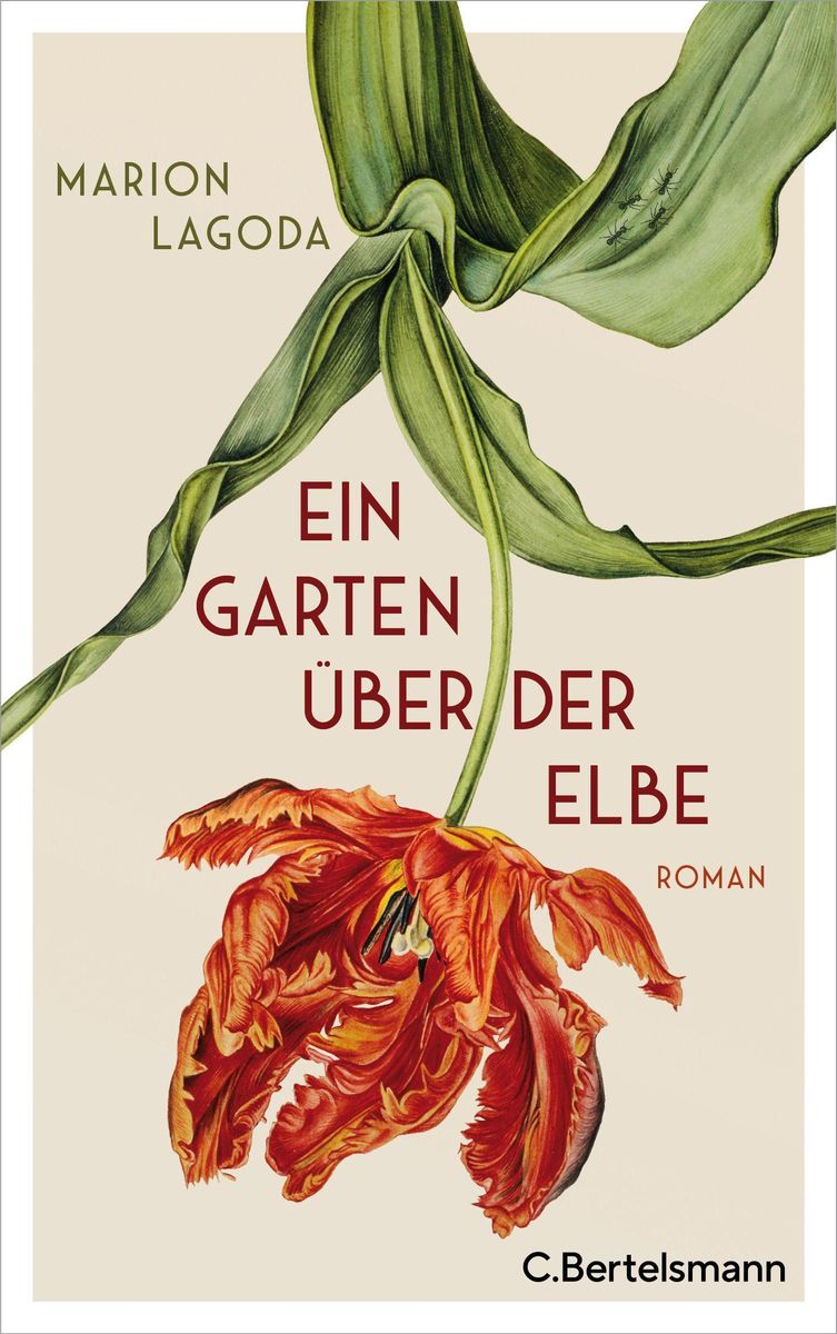 Ein Garten über der Elbe von Marion Lagoda Buch Thalia