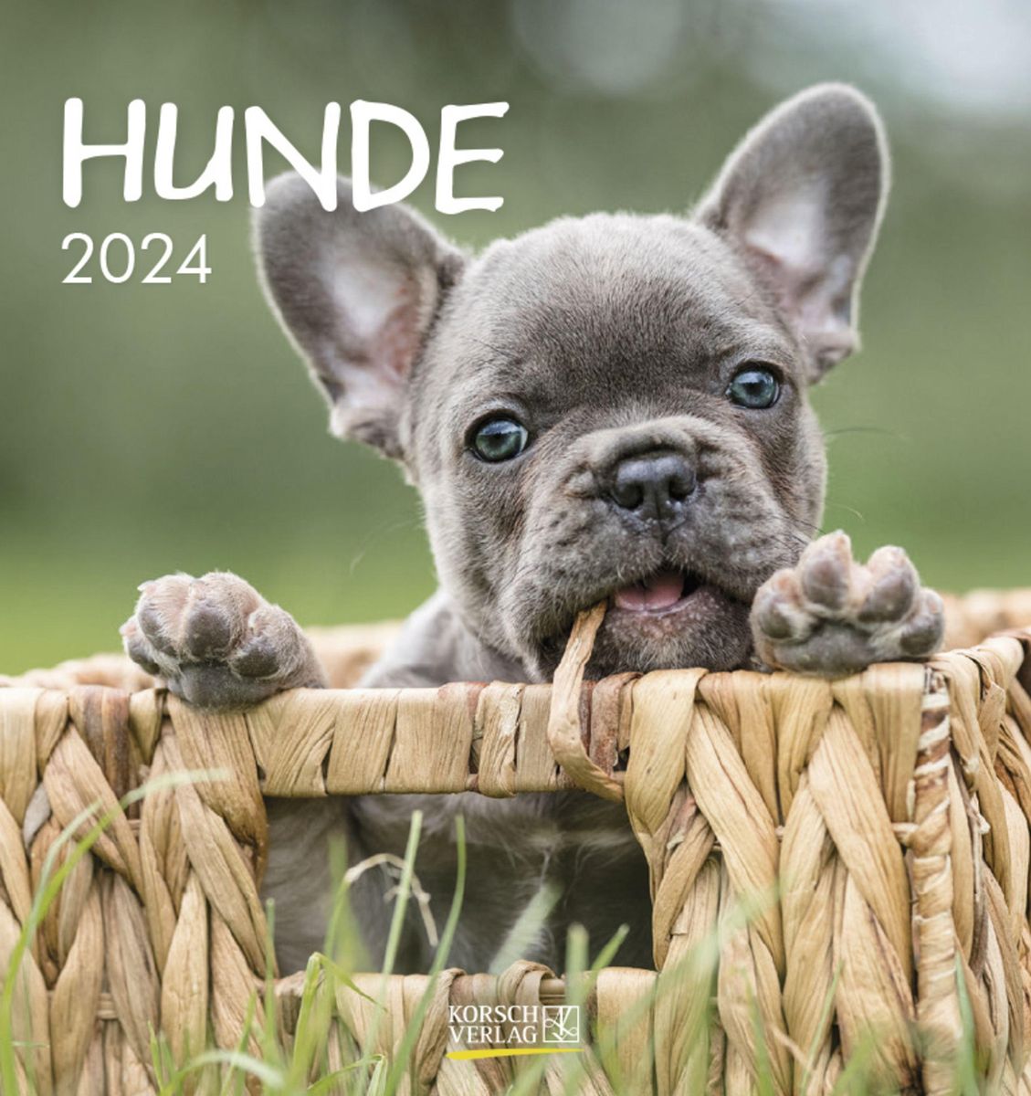 'Hunde 2024' 'Postkartenkalender