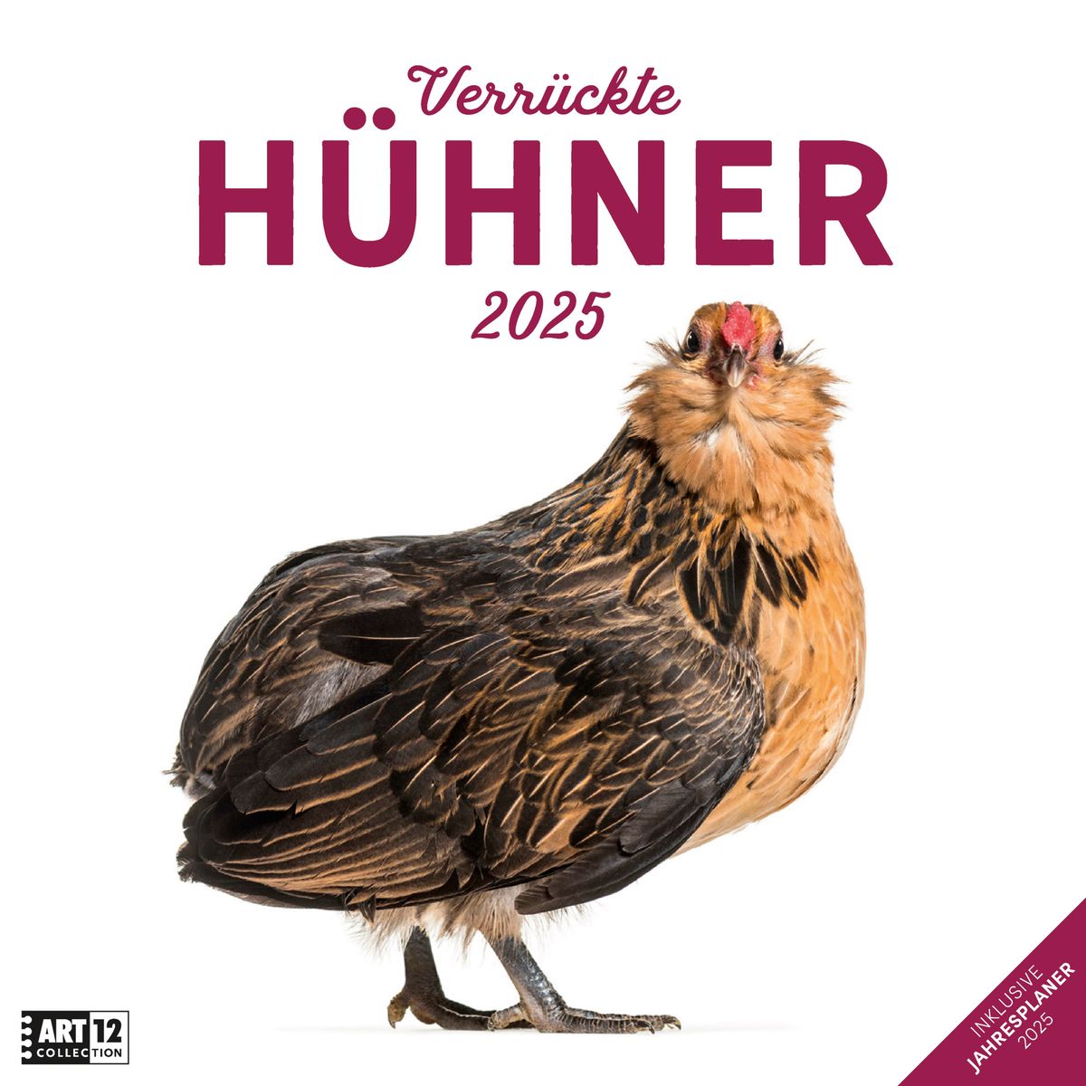 'Verrückte Hühner Kalender 2025 - 30x30' - 'Ackermann'